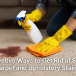 Stubborn Carpet and Upholstery Stains