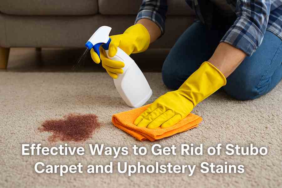 Effective Ways to Get Rid of Stubborn Carpet and Upholstery Stains